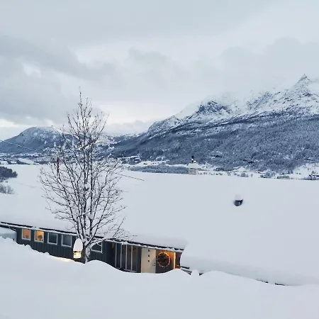 The View * Voss