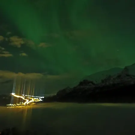 The View * Voss