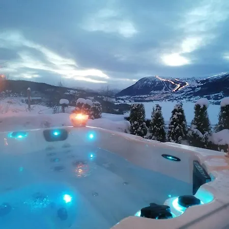 The View
